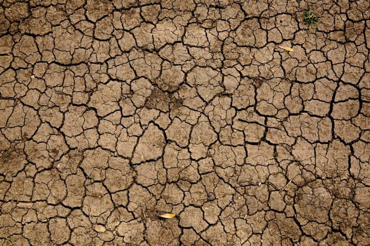 सावधान! भारत में सूखा पड़ने की घटनाओं में होने वाली है वृद्धि