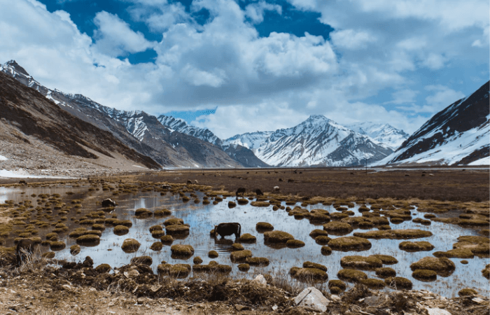 बढ़ते तापमान के कारण लद्दाख की जांस्कर घाटी में पीछे हट रहे हैं ग्लेशियर