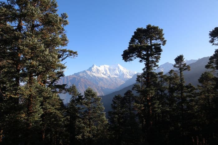 हिमालयी क्षेत्रों में वनरोपण किस हद तक है संभव