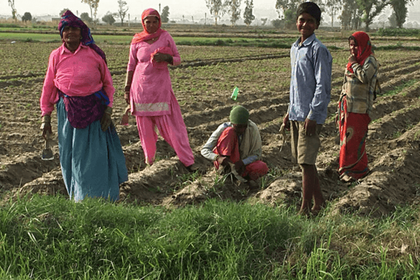 हरियाणा में गंभीर हो चला है भूजल का गिरता स्तर