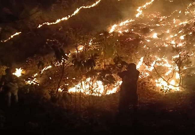 उत्तराखंड: जंगलों में आग पर अदालत ने शीर्ष वन अधिकारी को तलब किया