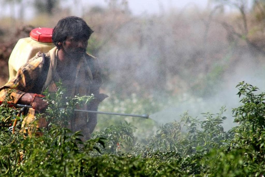 हर साल नौ लाख लोगों की मौत का कारण बन रहे हैं पेंट, कीटनाशक और कोयला